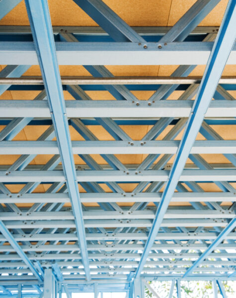 AdobeStock_40997947-1030x687-1.jpeg